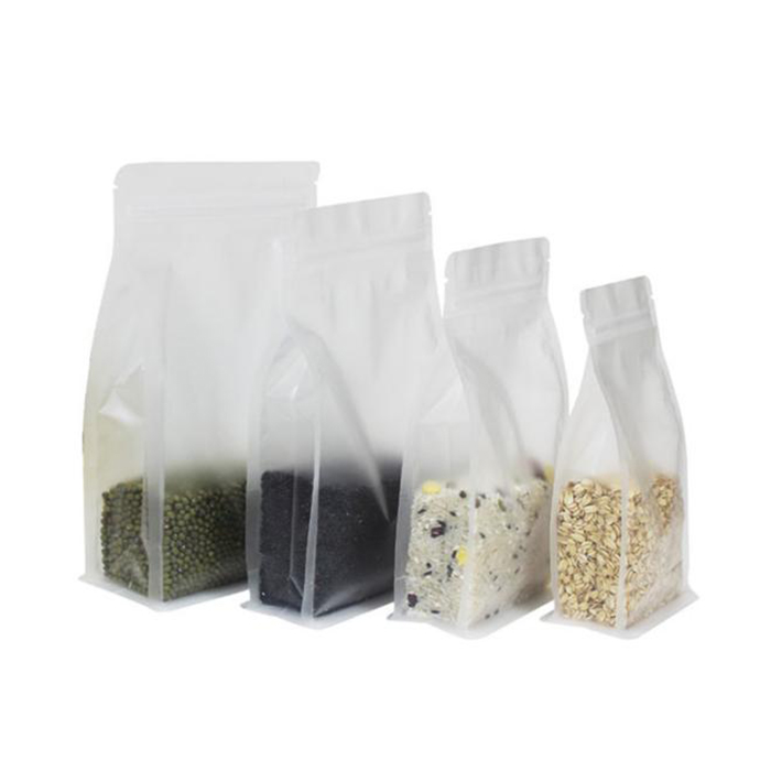 Plastic Flat Bottom Zipper Bag Clear/Frosted