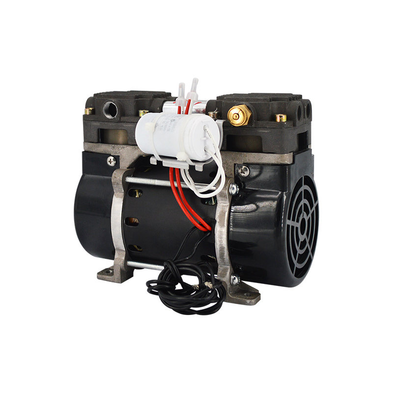 Household and Other Miniature Vacuum Pump Motor