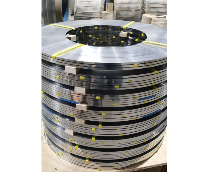 What aspects are included in the standards for cold rolled stainless steel strips?