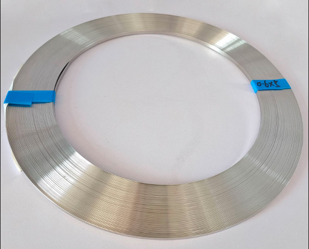 What are the advantages of High Performance Stainless Steel Strip?