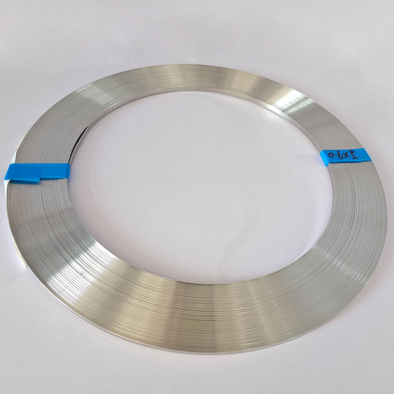 High Performance Stainless Steel Strip