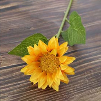 सूर्यफूल बोबो बलून - 4