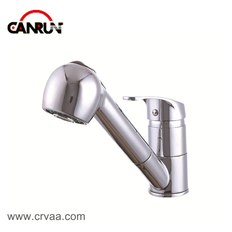 Swivel Pull-out Faucet