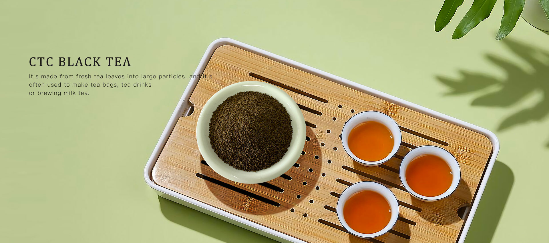Fornitori di polvere di tè nero CTC