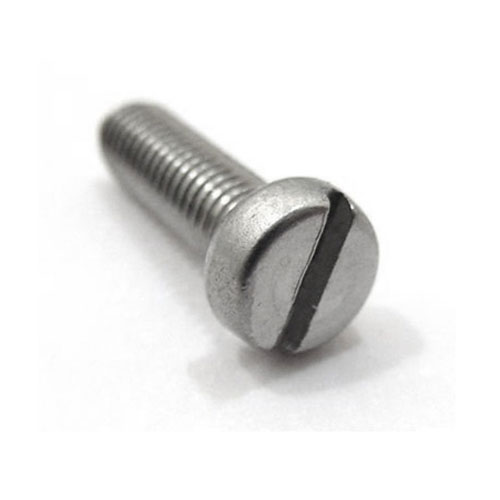 Slotted Drive Long Screw