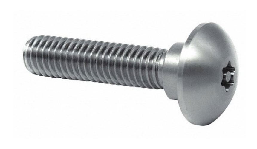 Stainless Steel Anti Theft Step Screw