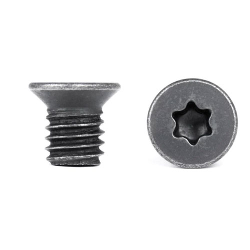 Customized anti theft plum Torx bolt screw