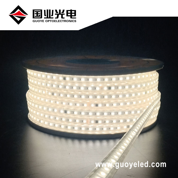 AC110V/AC220V High Voltage RGB LED Strip Ribbon Light