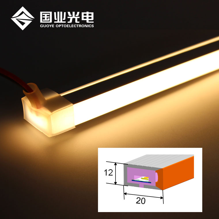 Neoon LED ribavalgusti