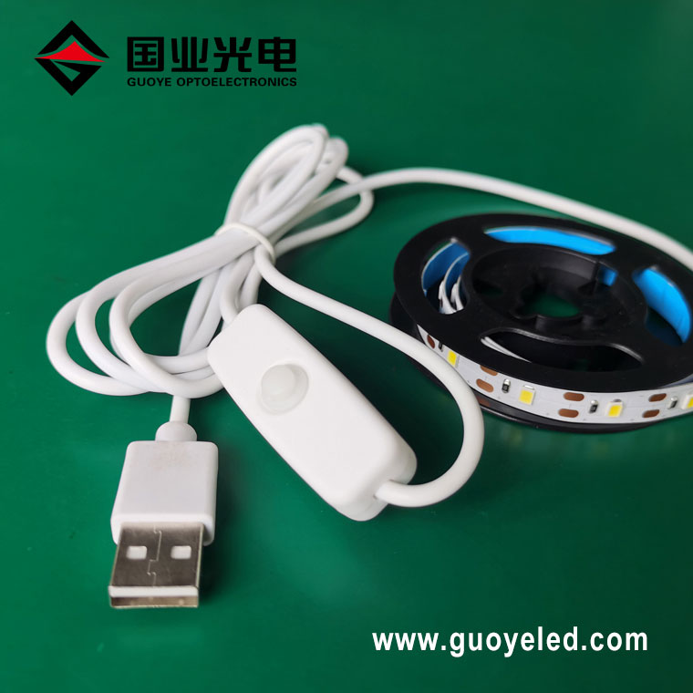 USB LED ribavalgusti