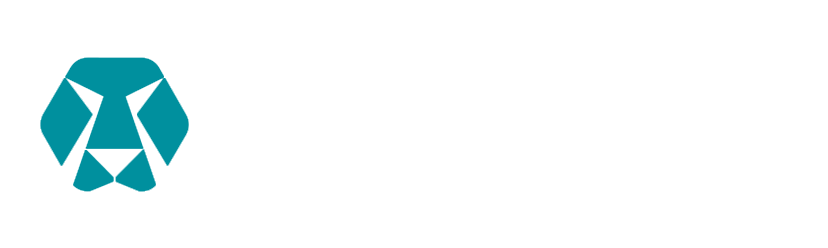 홍콩 Kinglionski Technology Co., Ltd.