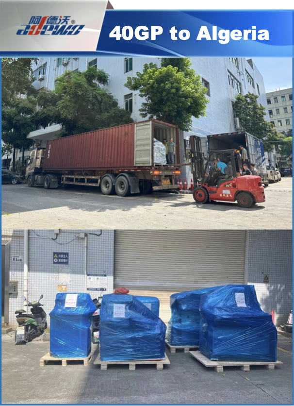 40GP Container to Algeria