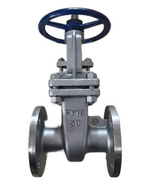 Russian standard gate valve