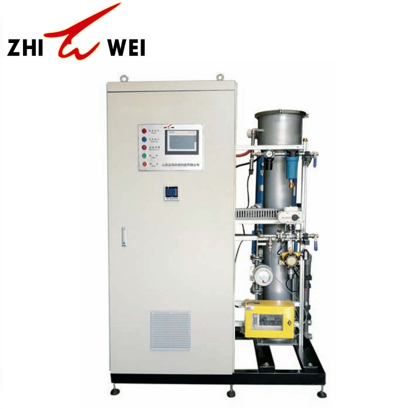 100g300g/h Water Generator Ozone For Swimming Pool