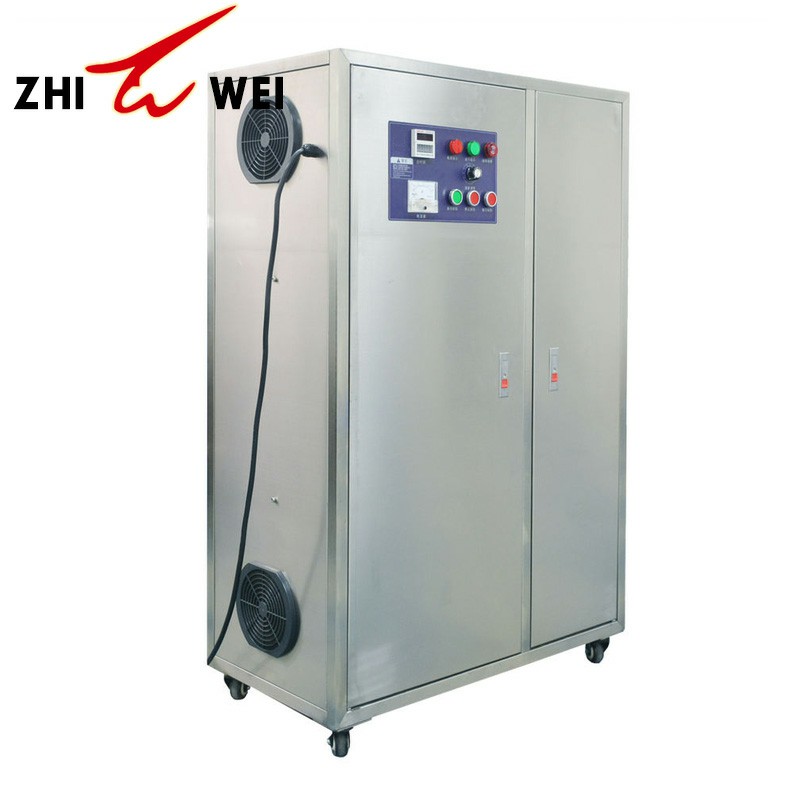 60g 80g 100g Ozone Generator Waste Water Treatment