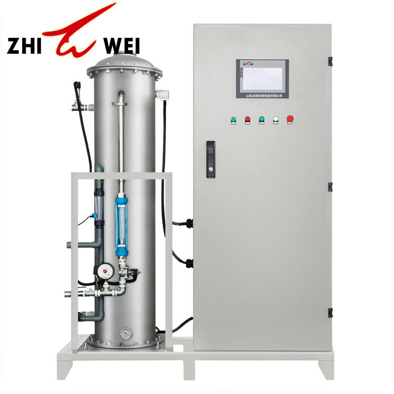 100g300g/h Water Generator Ozone For Swimming Pool
