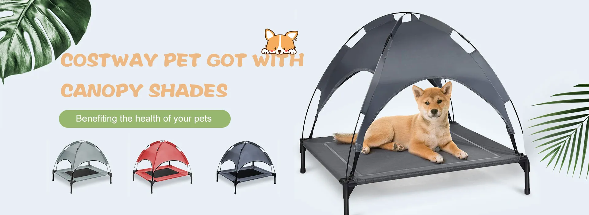 China Pet Dog Cot with Removable Canopy Factory