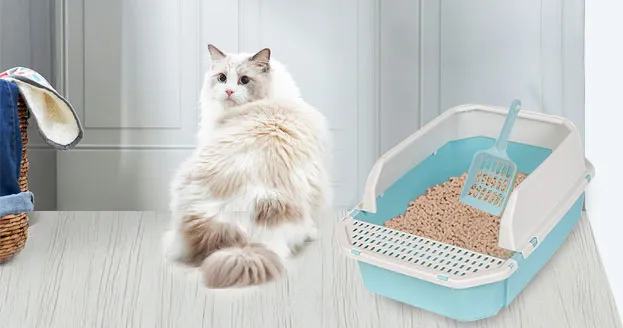 How often should the litter box be thoroughly cleaned