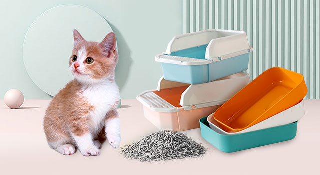 Cutie de gunoi pentru pisici