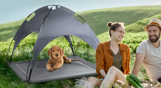Pet Dog Cot ine Removable Canopy