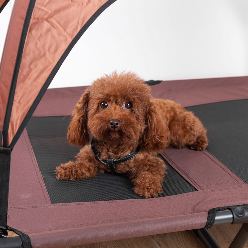 Elevated Pet Cot,Portable Raised Pet Dog Cot with Removable Canopy - 5 