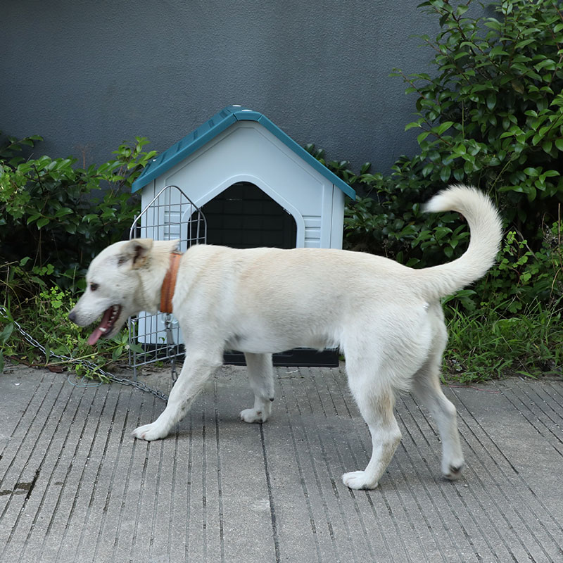 नवीन विकसित प्लास्टिक कुत्रा कुत्र्यासाठी घर लहान - 3 