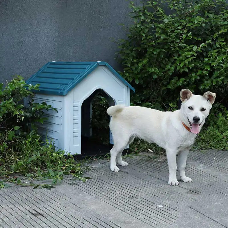 Nowo opracowana plastikowa buda dla psów z jednymi drzwiami