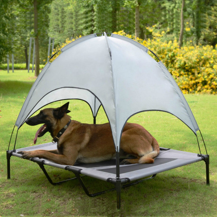 موسم گرما میں کولنگ پالتو کتے کی چارپائی ہٹانے کے قابل چھتری کے ساتھ