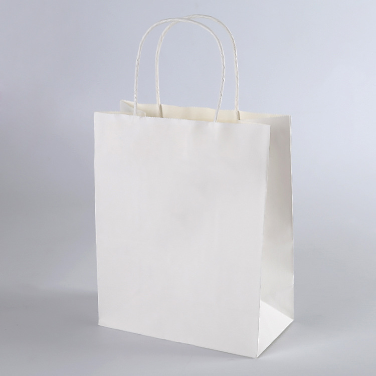 Printed Kraft Paper Bag - 8