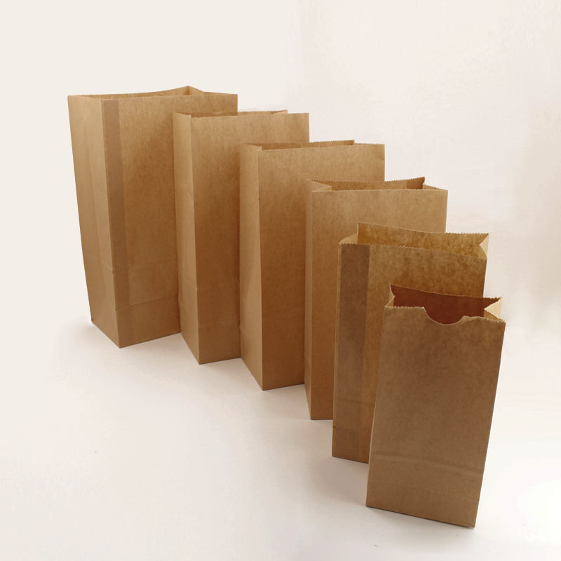 Recyclable Kraft Paper Bag - 2 