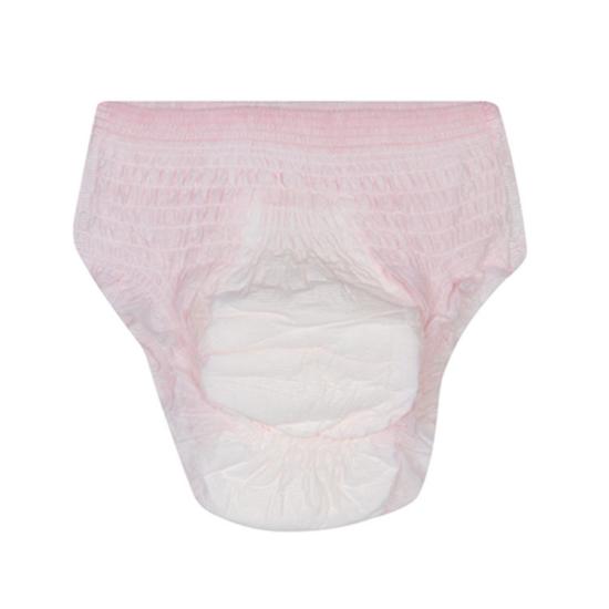 Disposable Period Underpants