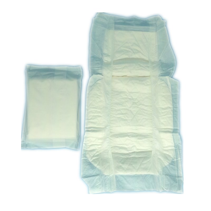 Disposable sanitary napkin