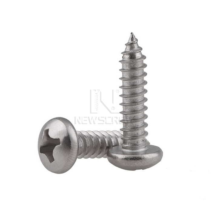 304 316 Stainless Steel Self Tapping Screw - 2 