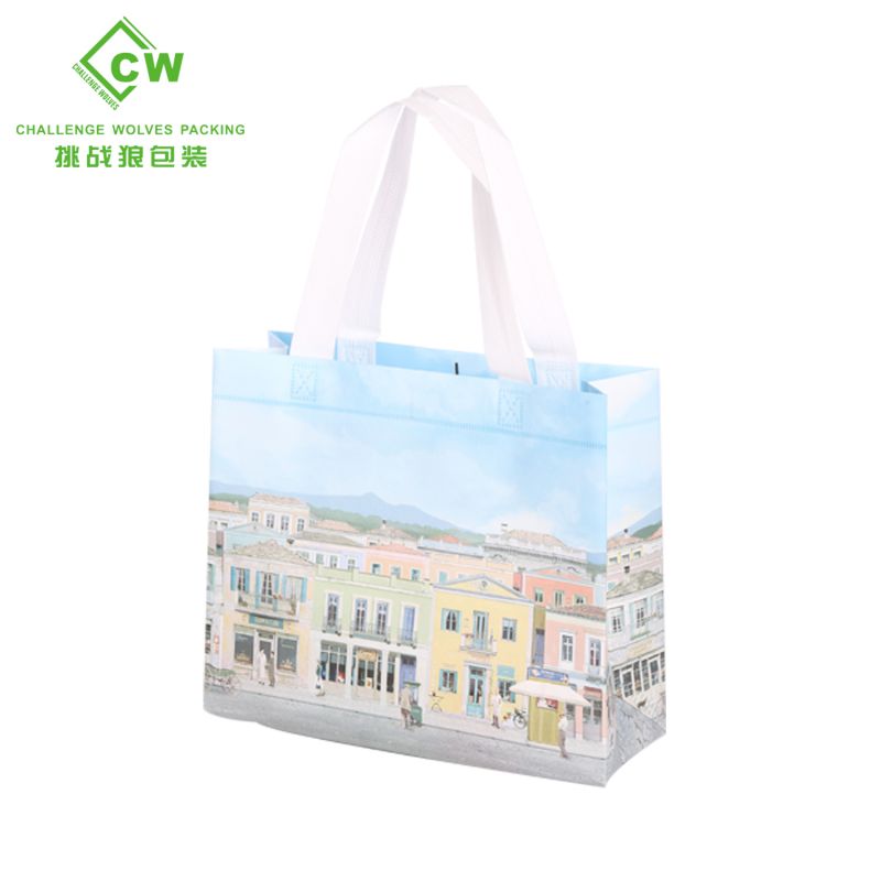 Eco-friendly Shopping Bags