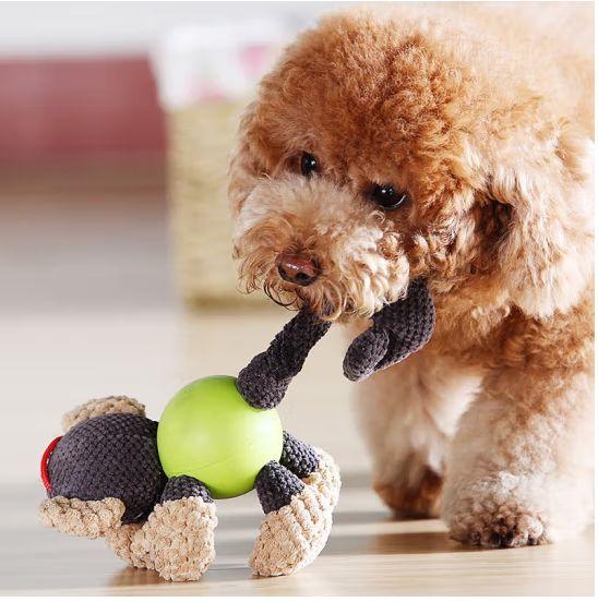 Let's uncover the magic of pet toys 