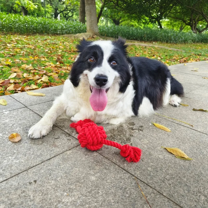 Играчка за куче со плетенка со јаже