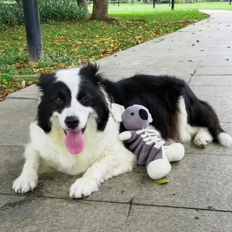 Crinkling Plush Toy For Dogs