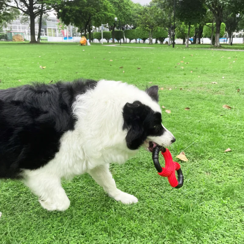 Juguetes masticables para perros extremadamente resistentes