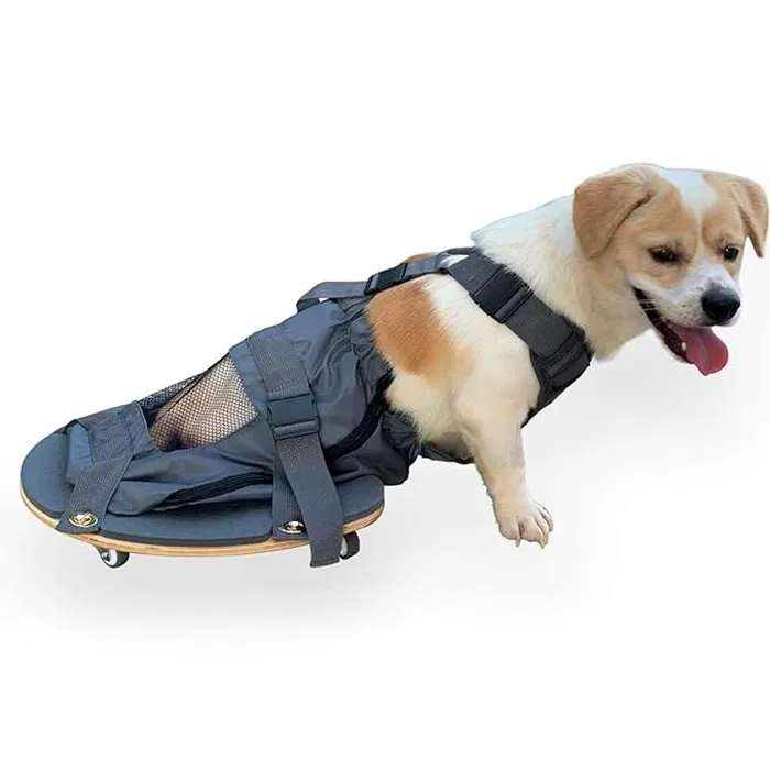 Pet Limb Lumpuh Scooter