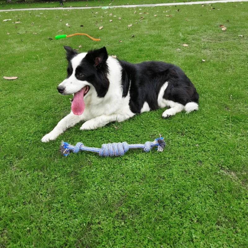 Puppy Rope Tug Toy