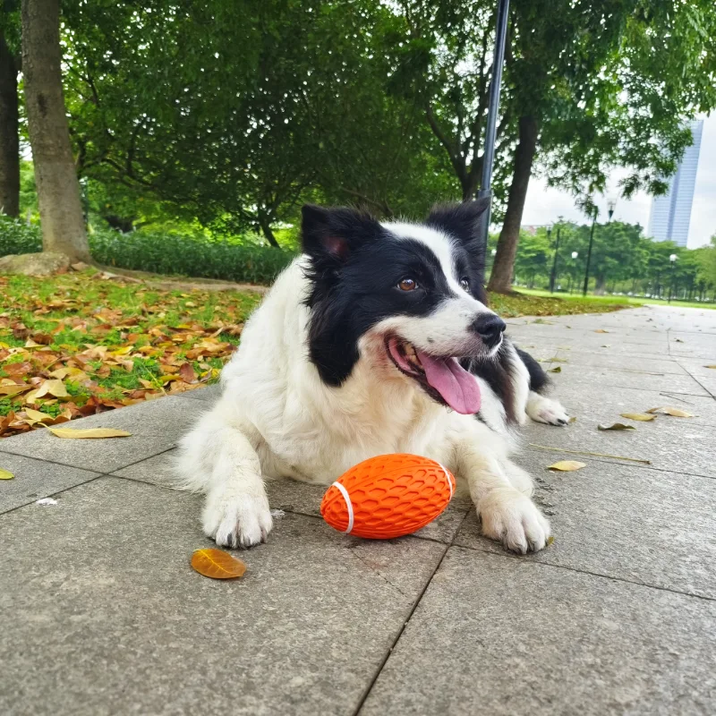 Juguetes para perros con pelota masticable chirriante