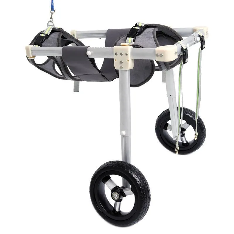 Wheelchair quia Disabled Suspendisse