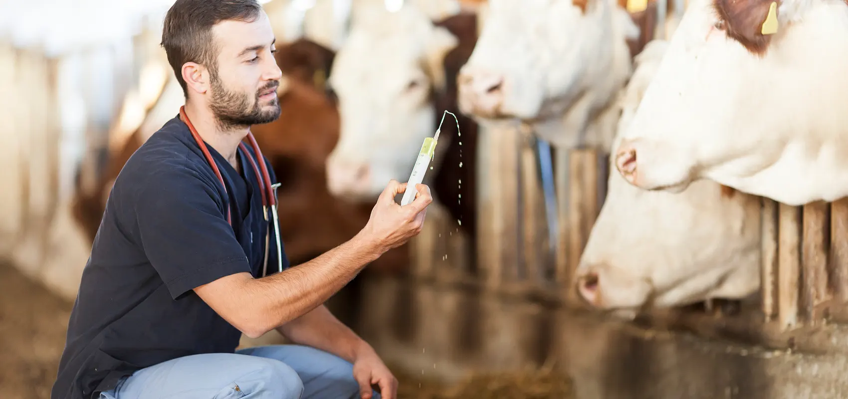 Hvad er dyrehold veterinær hovedfag?