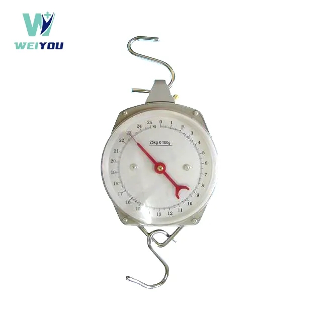 Classification and maintenance of hanging weigh scales.