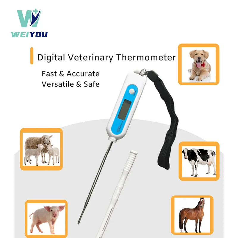 Үлкен жануарларға арналған сандық ветеринариялық термометр