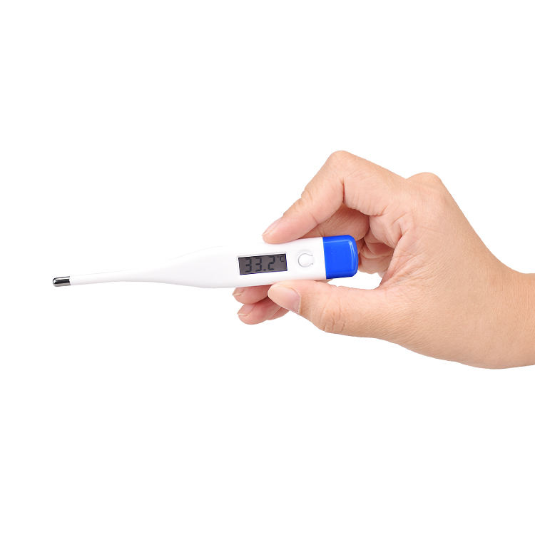 Digital Veterinary Thermometer for Pet