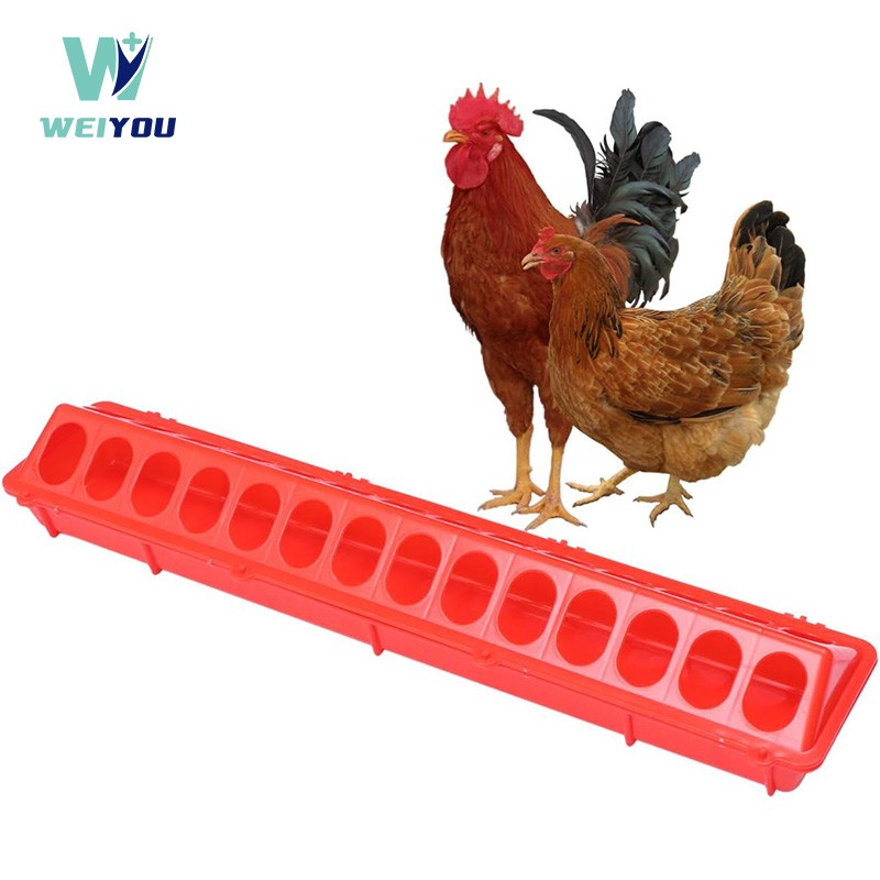 Plastic poultry feeding long trough