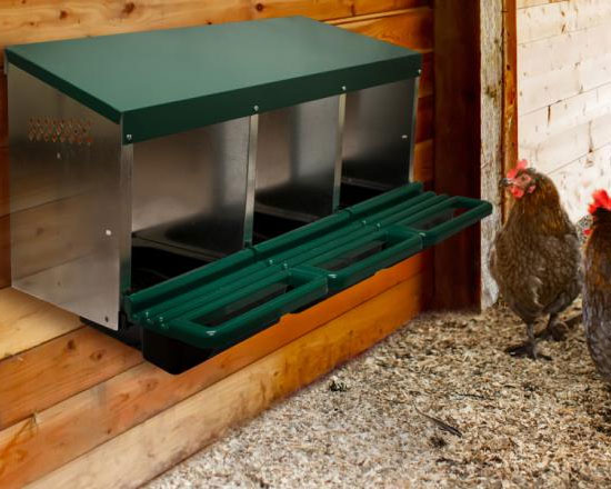 How much do You Know about Egg Laying Box?
