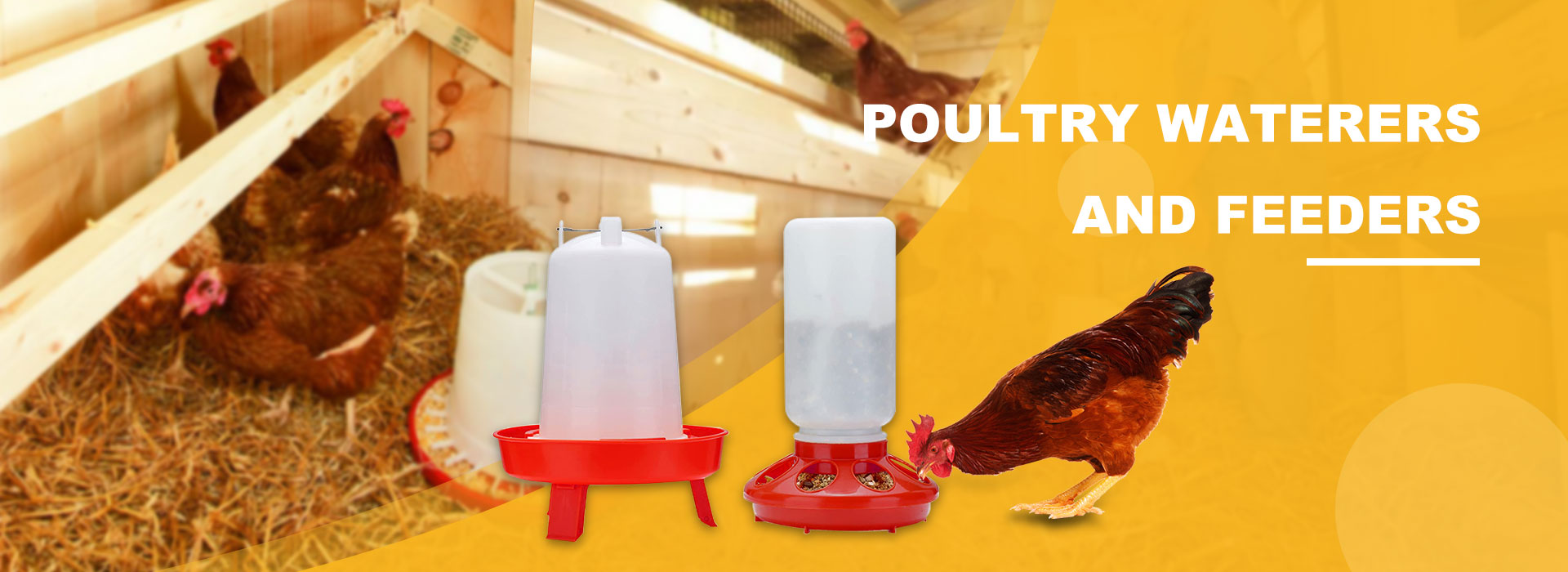 China Poultry Waterers and Feeders Factory
