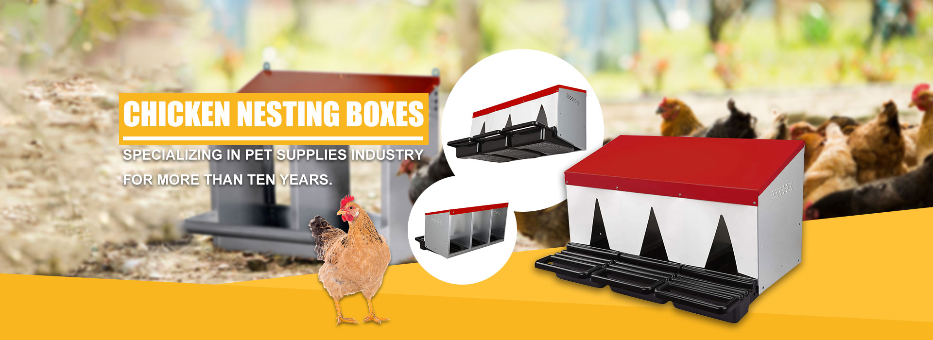 Pabrika ng China Chicken Nesting Boxes